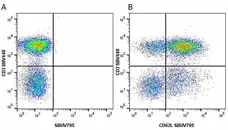 Anti Human CD3 Antibody, clone UCHT1 gallery image 150