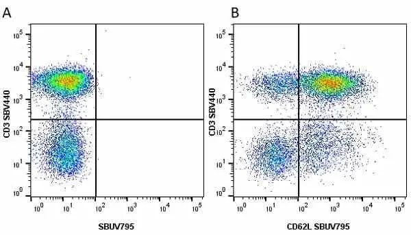 Anti Human CD3 Antibody, clone UCHT1 gallery image 150