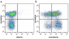 Anti Human CD3 Antibody, clone UCHT1 gallery image 151