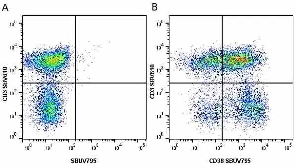 Anti Human CD3 Antibody, clone UCHT1 gallery image 151