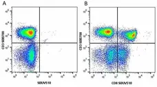 Anti Human CD3 Antibody, clone UCHT1 gallery image 153