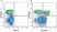 Anti Human CD3 Antibody, clone UCHT1 thumbnail image 153