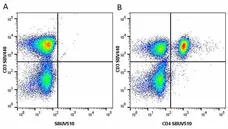 Anti Human CD3 Antibody, clone UCHT1 gallery image 154