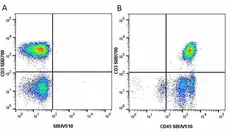 Anti Human CD3 Antibody, clone UCHT1 gallery image 157