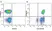 Anti Human CD3 Antibody, clone UCHT1 thumbnail image 157