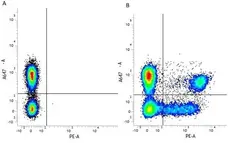 Anti Human CD3 Antibody, clone UCHT1 gallery image 16