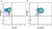 Anti Human CD3 Antibody, clone UCHT1 thumbnail image 160