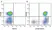Anti Human CD3 Antibody, clone UCHT1 thumbnail image 161