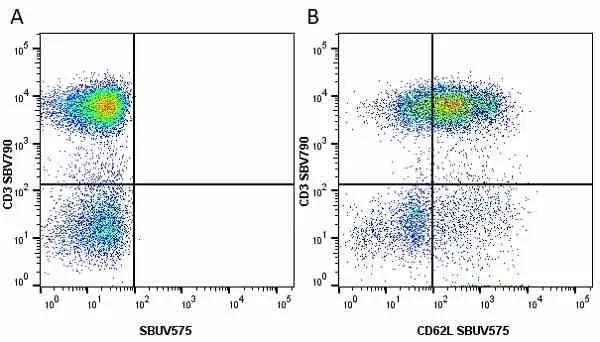 Anti Human CD3 Antibody, clone UCHT1 gallery image 164