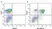 Anti Human CD3 Antibody, clone UCHT1 thumbnail image 165