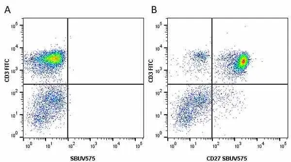 Anti Human CD3 Antibody, clone UCHT1 gallery image 165