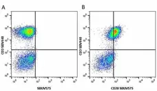 Anti Human CD3 Antibody, clone UCHT1 gallery image 167