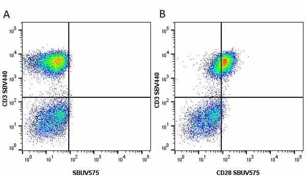Anti Human CD3 Antibody, clone UCHT1 gallery image 167