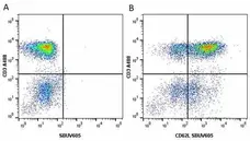 Anti Human CD3 Antibody, clone UCHT1 gallery image 177
