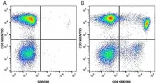 Anti Human CD3 Antibody, clone UCHT1 gallery image 179
