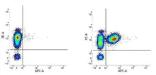 Anti Human CD3 Antibody, clone UCHT1 gallery image 18