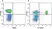 Anti Human CD3 Antibody, clone UCHT1 thumbnail image 180