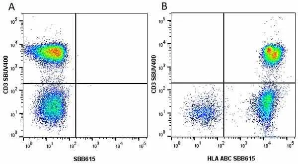 Anti Human CD3 Antibody, clone UCHT1 gallery image 183