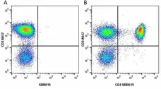 Anti Human CD3 Antibody, clone UCHT1 gallery image 185
