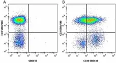 Anti Human CD3 Antibody, clone UCHT1 gallery image 187