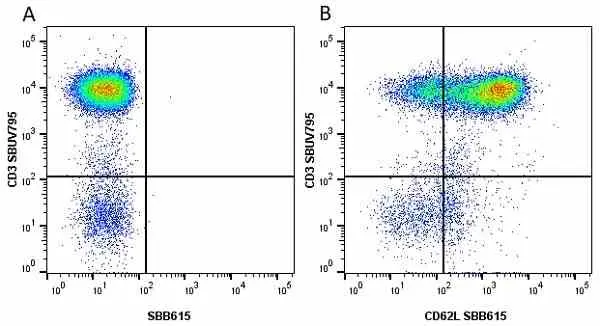 Anti Human CD3 Antibody, clone UCHT1 gallery image 188