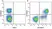 Anti Human CD3 Antibody, clone UCHT1 thumbnail image 192