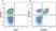 Anti Human CD3 Antibody, clone UCHT1 thumbnail image 193