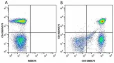 Anti Human CD3 Antibody, clone UCHT1 gallery image 197