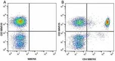 Anti Human CD3 Antibody, clone UCHT1 gallery image 201