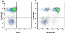 Anti Human CD3 Antibody, clone UCHT1 gallery image 202