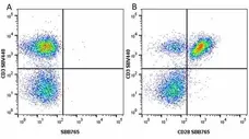 Anti Human CD3 Antibody, clone UCHT1 gallery image 206