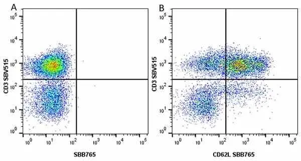Anti Human CD3 Antibody, clone UCHT1 gallery image 208