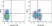 Anti Human CD3 Antibody, clone UCHT1 thumbnail image 21