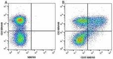 Anti Human CD3 Antibody, clone UCHT1 gallery image 210