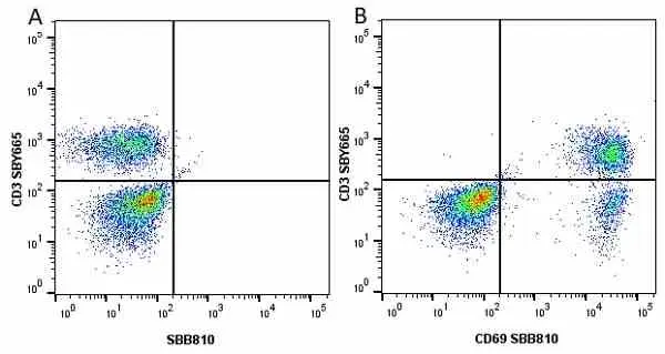 Anti Human CD3 Antibody, clone UCHT1 gallery image 216