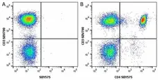 Anti Human CD3 Antibody, clone UCHT1 gallery image 217