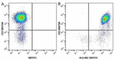 Anti Human CD3 Antibody, clone UCHT1 gallery image 219