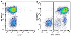Anti Human CD3 Antibody, clone UCHT1 gallery image 221