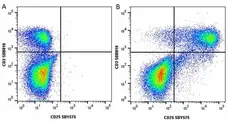 Anti Human CD3 Antibody, clone UCHT1 gallery image 227