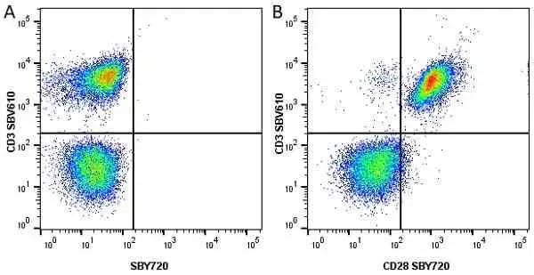 Anti Human CD3 Antibody, clone UCHT1 gallery image 231