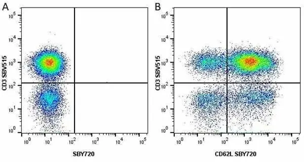 Anti Human CD3 Antibody, clone UCHT1 gallery image 234