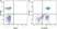 Anti Human CD3 Antibody, clone UCHT1 thumbnail image 24