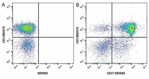 Anti Human CD3 Antibody, clone UCHT1 gallery image 241
