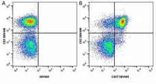 Anti Human CD3 Antibody, clone UCHT1 gallery image 245