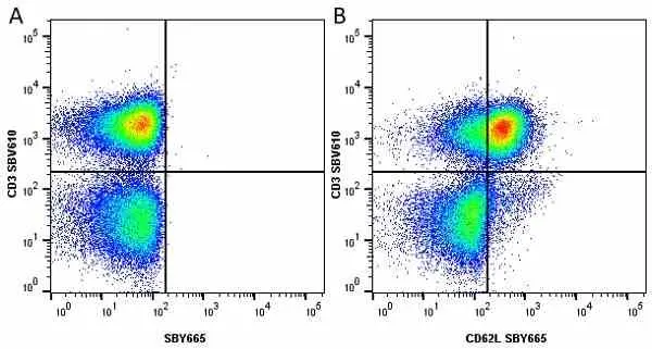 Anti Human CD3 Antibody, clone UCHT1 gallery image 246
