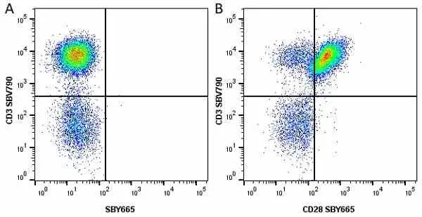 Anti Human CD3 Antibody, clone UCHT1 gallery image 249