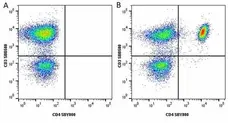 Anti Human CD3 Antibody, clone UCHT1 gallery image 257