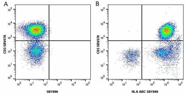 Anti Human CD3 Antibody, clone UCHT1 gallery image 258