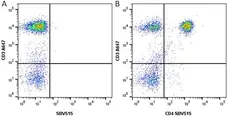 Anti Human CD3 Antibody, clone UCHT1 gallery image 26