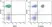 Anti Human CD3 Antibody, clone UCHT1 thumbnail image 26